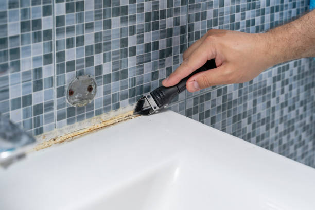 Best Insurance-Related Mold Remediation in Oldsmar, FL